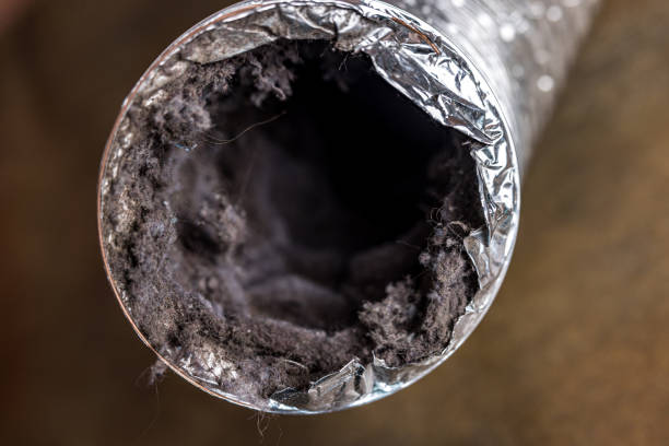 Best Air Duct Cleaning Near Me  in Lincoln, AL