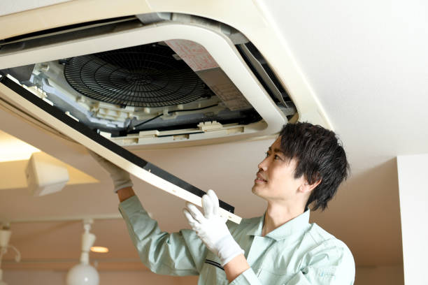 Best Ductwork Cleaning Services  in Lincoln, AL