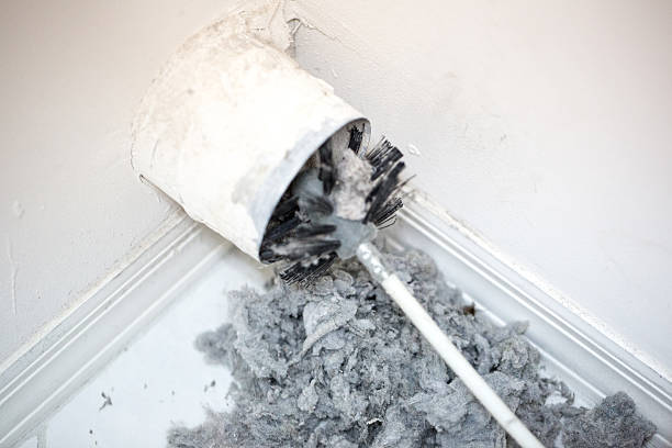 Best Home Air Vent Cleaning  in Lincoln, AL