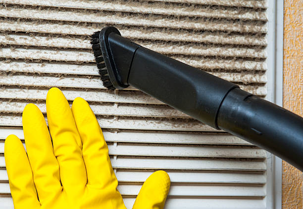Best HVAC System Cleaning  in Lincoln, AL